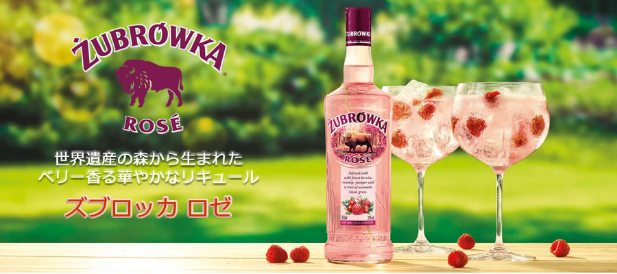 ホーム リードオフジャパン株式会社 ホーム リードオフジャパン株式会社